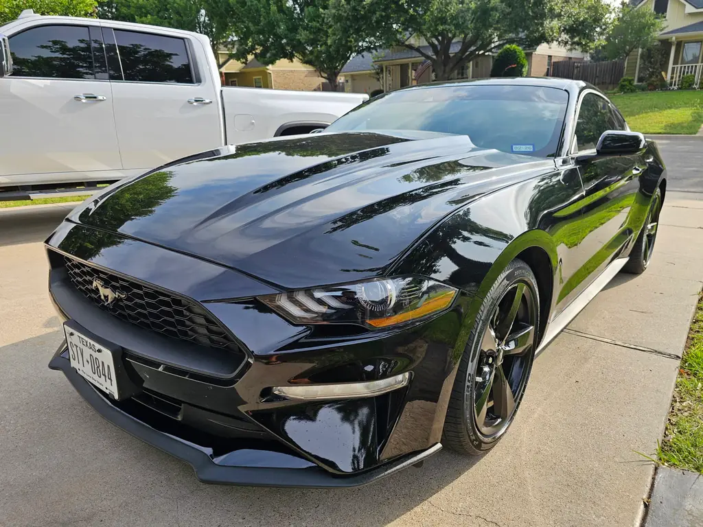 A black Mustang finished at C & C Collision Center, the paint deep enough that the trees and sky read as clean reflections across the hood